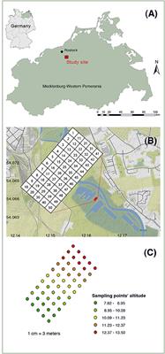 Small-Scale Spatial Variability of Soil Chemical and Biochemical Properties in a Rewetted Degraded Peatland